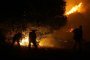 Австрия изпраща в Гърция противопожарни самолети и хеликоптери 