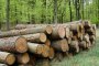 Дърводобивните фирми пак на протест пред НС