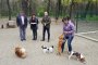 Откриха специализирана площадка за кучета в Пловдив