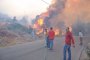   44 000 хектара гори изгоряха за ден на остров Хиос