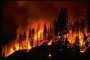  Над 11 000 дка опожарени гори от началото на годината