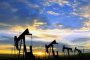  Газпром нефт откри ново находище в Сърбия