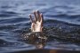  18-годишен се удави край Златни пясъци