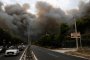   24 загинали и над 100 ранени при горските пожари край Атина