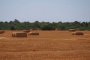  ГЕРБ: Да падне забраната за продажба на земеделски земи на чужденци 