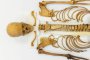 Скелет на 6000 години