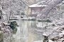   Японска зима в София: Маринела
