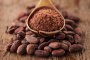 Цените на какаото достигнаха исторически връх
